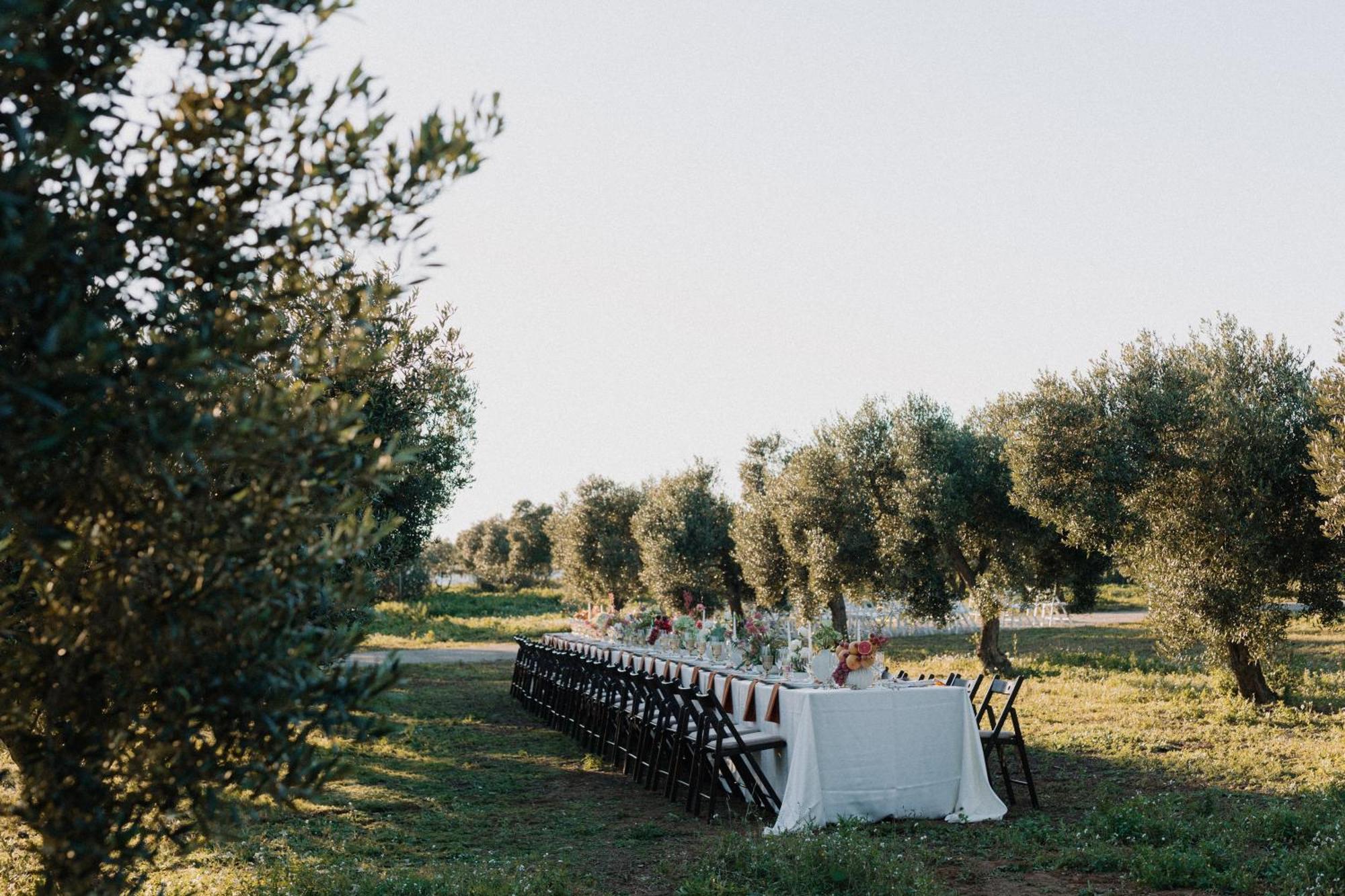 Finca La Concertista Llorenc del Penedes Eksteriør billede
